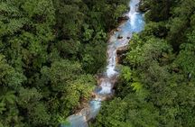 Discover the Magical Blue Falls in a Day Trip Adventure 