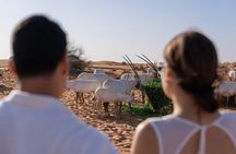 57 Night Heritage Desert Experience