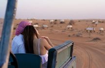 57 Heritage Desert Experience
