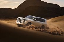 57 Dune Bashing + Heritage Desert Experience