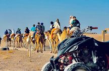 Marrakech: Quad Bike and Camel Ride &Dinner show in Agafay desert