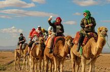 Marrakech: Quad Bike and Camel Ride &Dinner show in Agafay desert