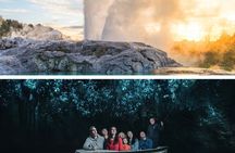 Waitomo Caves, Rotorua and Te Puia Small Group Tour from Auckland