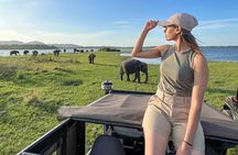 Minneriya National Park Jeep Safari - Private Safari