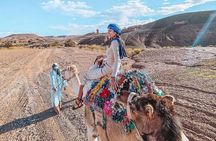 Marrakech: Agafay Desert Quad Biking & Camel RIDE & Dinner & Show