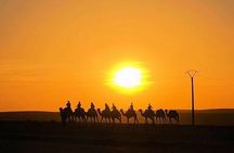 Agafay Desert Sunset Camel Ride & Dinner with fire show