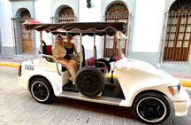 Mazatlan Pulmonia Experience