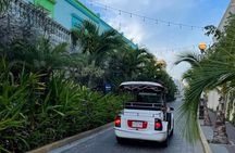 Mazatlan Pulmonia Experience