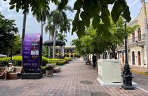 Mazatlan Private City Tour by Pulmonia with Cruise Port Pickup