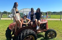 Byron Bay Day Tour: Lighthouse Sunset, The Farm and Hidden Trails