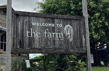 Byron Bay Day Tour: Lighthouse Sunset, The Farm and Hidden Trails