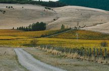 Waipara Valley Winery Tour Wine Tastings and Scenic Views
