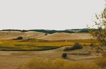 Waipara Valley Winery Tour Wine Tastings and Scenic Views
