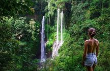 Hidden Bali Gems Sekumpul, Sacred Temples and Jatiluwih