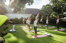 Ubud Healing Retreat Yoga, Massage, Purification Rice Terraces