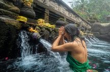Ubud Healing Retreat Yoga, Massage, Purification Rice Terraces