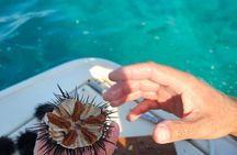 Family Fishing and Snorkeling