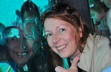 Sea Scope Submarine & Snorkeling Adventure in Hurghada