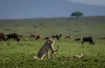  Private 6-Day Kilimanjaro Tour with Transportation