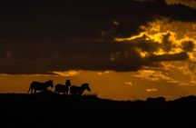  Private 6-Day Kilimanjaro Tour with Transportation