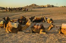 Agafay Desert: Dinner Show Under the Stars with Camel Ride