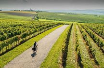 Moravian E-Bike & Wine Private Day Trip From Brno