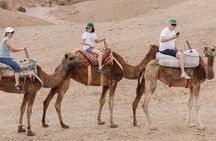 Agafay Desert Camel Ride and Quad Biking with Dinner and Show