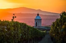 Moravian E-Bike & Wine Private Day Trip From Brno