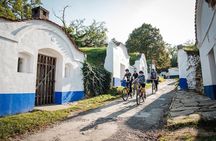 Moravian E-Bike & Wine Private Day Trip From Brno