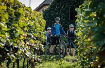 Moravian E-Bike & Wine Private Day Trip From Brno