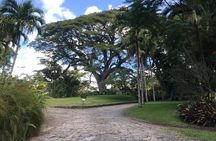 Basseterre Half Day Tour