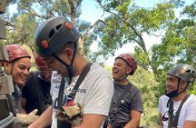 Treetop Canopy Tour and Jeffreys Bay Highlights Tour 