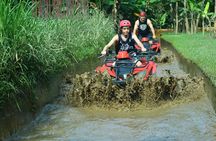 Bali Natural Forest Gorilla Cave ATV Adventure with Lunch