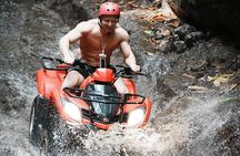 Bali Natural Forest Gorilla Cave ATV Adventure with Lunch