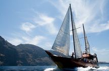 Respectful Whale Watching on a Wooden Boat and Swim
