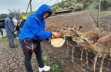 Amirsoy Chimgan and Charvak Lake Tour from Tashkent