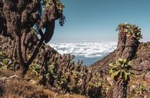 Kilimanjaro climb, Umbwe Route (6-day)