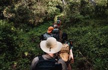 Kilimanjaro climb, Rongai Route (6-day)