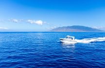 Maui Luxury Boston Whaler Private Charter for up to 6 Passengers