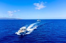Maui Luxury Boston Whaler Private Charter for up to 6 Passengers