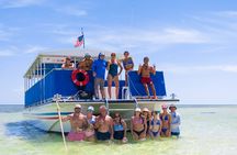 Island Adventure Eco Tour – Explore Key West’s Hidden Backcountry