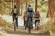 Self Guided Ebike Tour of Breckenridge Lake Loop