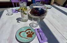 Coffee Cake and Cuddles with Rescue Puppies in a Sea View Villa