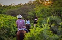 From Guanajuato: Christ the King Horseback Riding and Buffet
