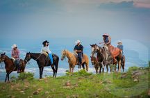 From Guanajuato: Christ the King Horseback Riding and Buffet