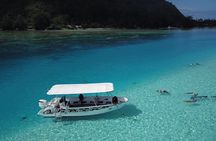Snorkeling Lagoon Cruise and Whale Watching in Moorea