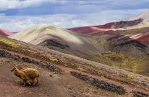 Palcoyo Rainbow Mountain Tour from Cusco (1 day)