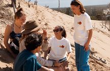 Sunshine Coast Surf Tours