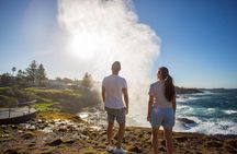 Kiama & Kangaroos - Sydney South Coast Escape