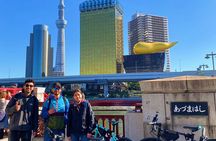 Tokyo 3 Hour E Bike Tour of the City Bayside Areas